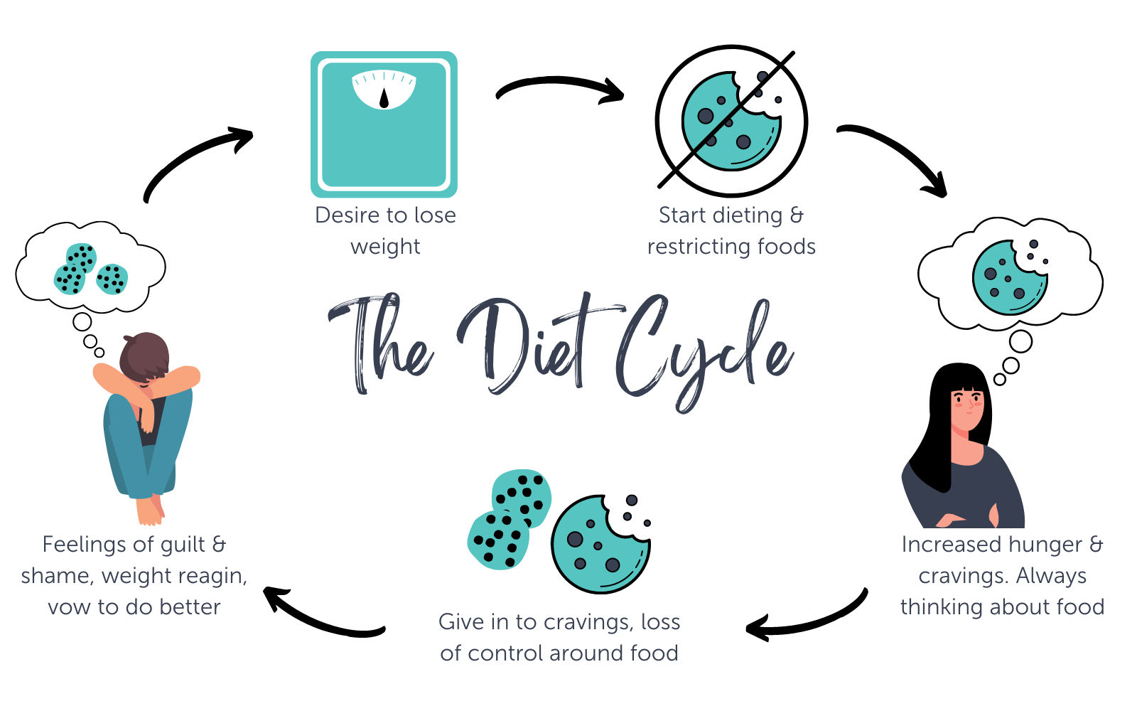 What is the Diet Cycle?